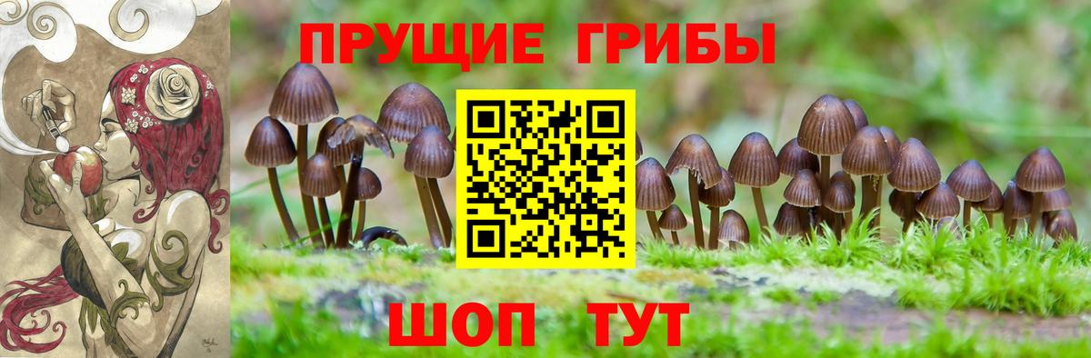 Псилоцибиновые грибы прущие грибы  Вход с VPN  Уссурийск 