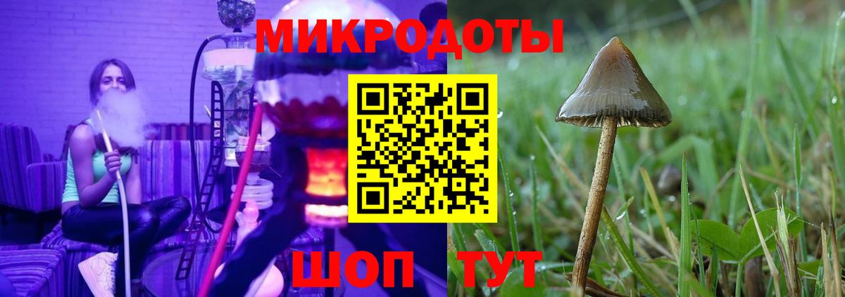 Псилоцибиновые грибы прущие грибы Уссурийск